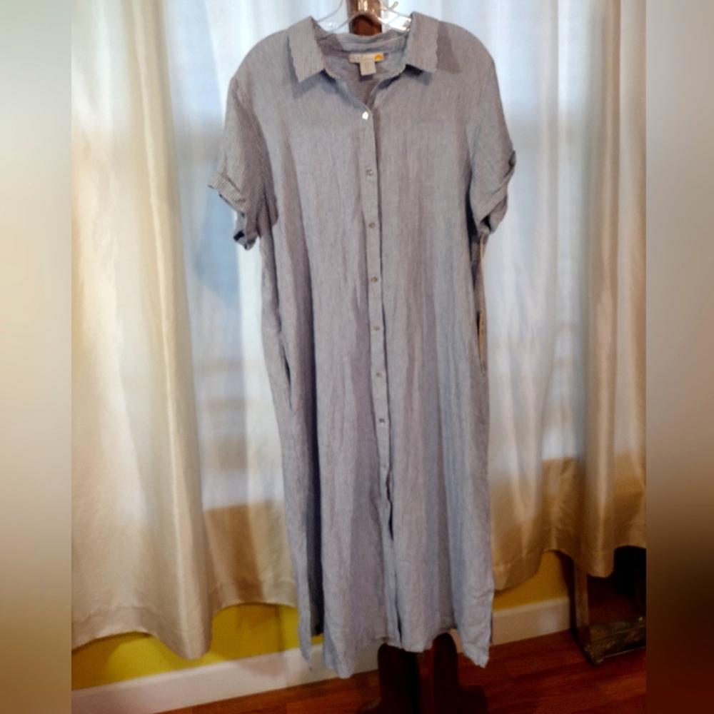 C & C California button down dress
